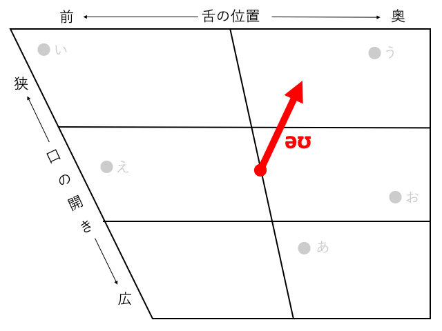 音声学 学校では教えない正確な英語の発音のコツ 図で教えます Big Tree In The House